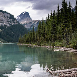 Meet your Posher, Jodi